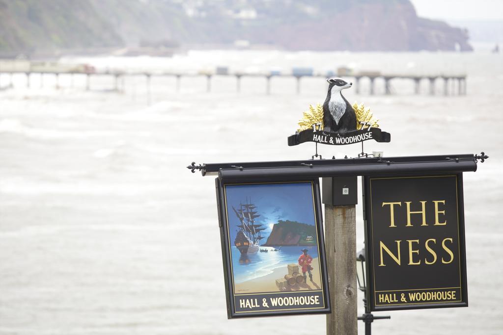Bed and Breakfast The Ness Teignmouth Exterior foto